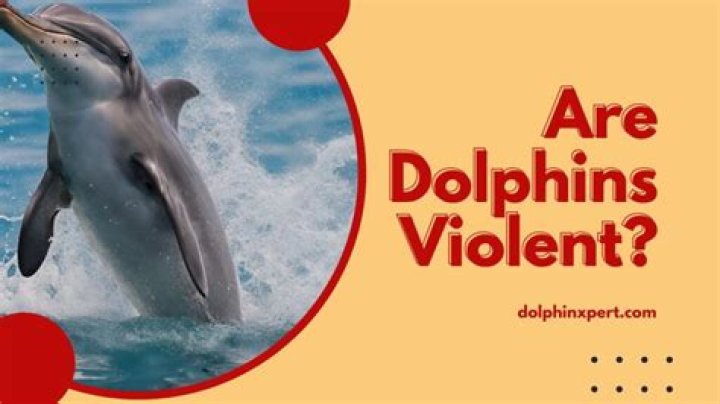 Unveiling The Surprising Truth: Are Dolphins Really Dangerous?